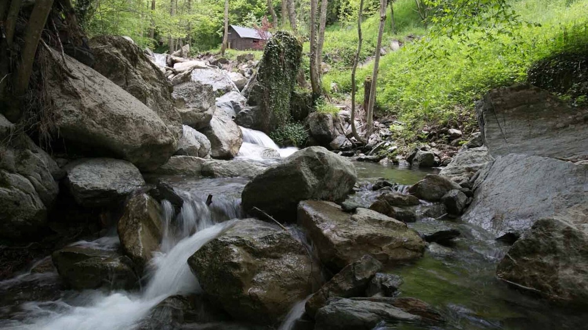 Vilallonga de Ter House | Mountain Chalet- Les pedres