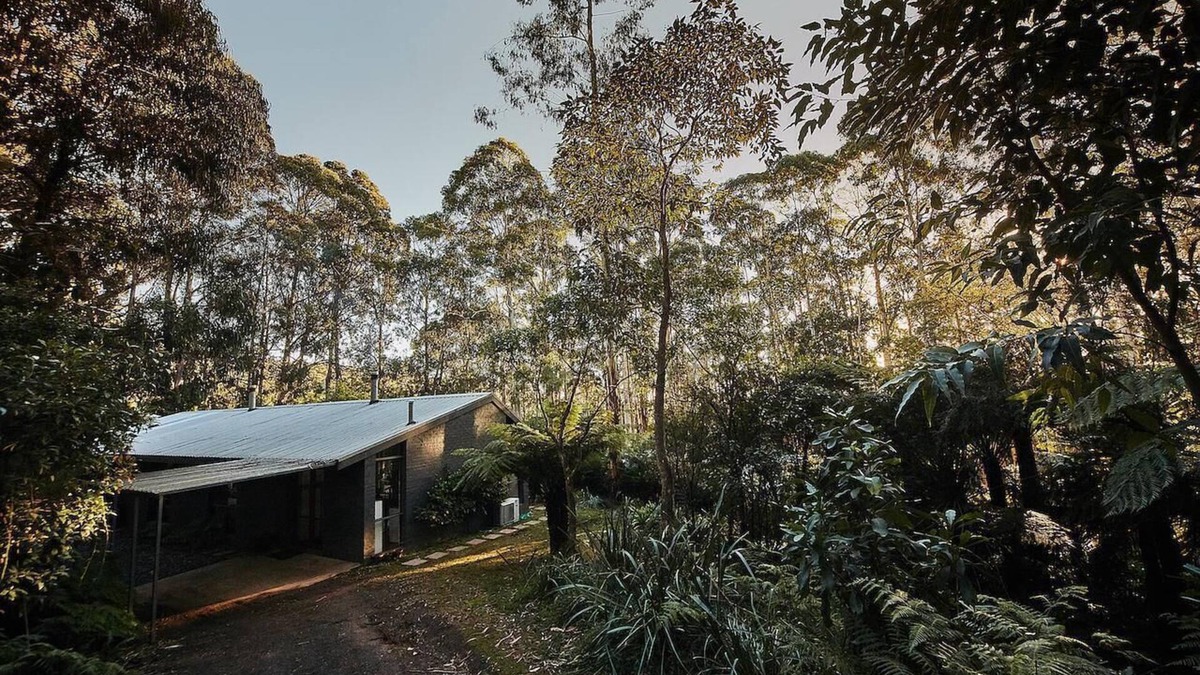 Mount Toolebewong House | Mountain get-away, nestled in the majestic Mount Toolebewong forest