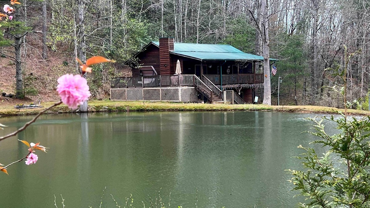 Andrews Cabin | Mountain Getaway w/Pond, Grill, & 2 Fire Pits!