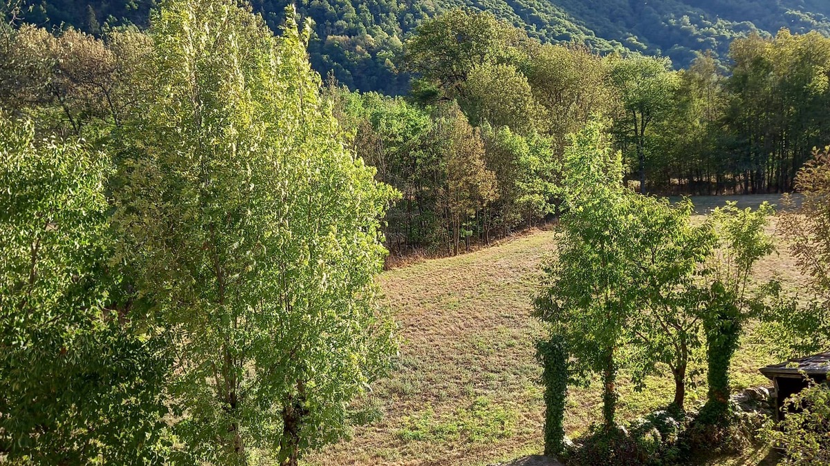 Savignac-les-Ormeaux House | Mountain house with garden