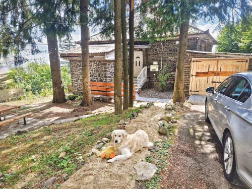 Galyateto House | Mountain Home - Galyatető