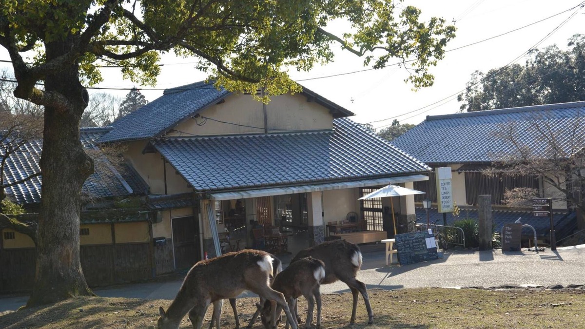 Nara Apartment | Mountain Home Lodge in Deer Park