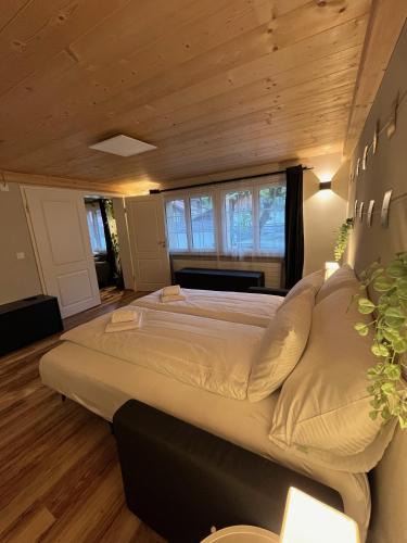 Boenigen Apartment | Mountain Homes
