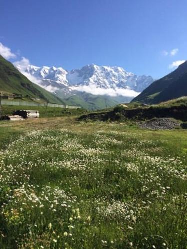 Ushguli House | Mountain house