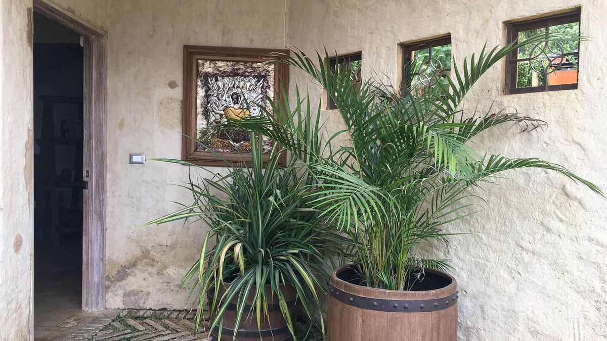Oaxaca House | Mountain House. Located in the North zone of the City of Oaxaca. Campirano.