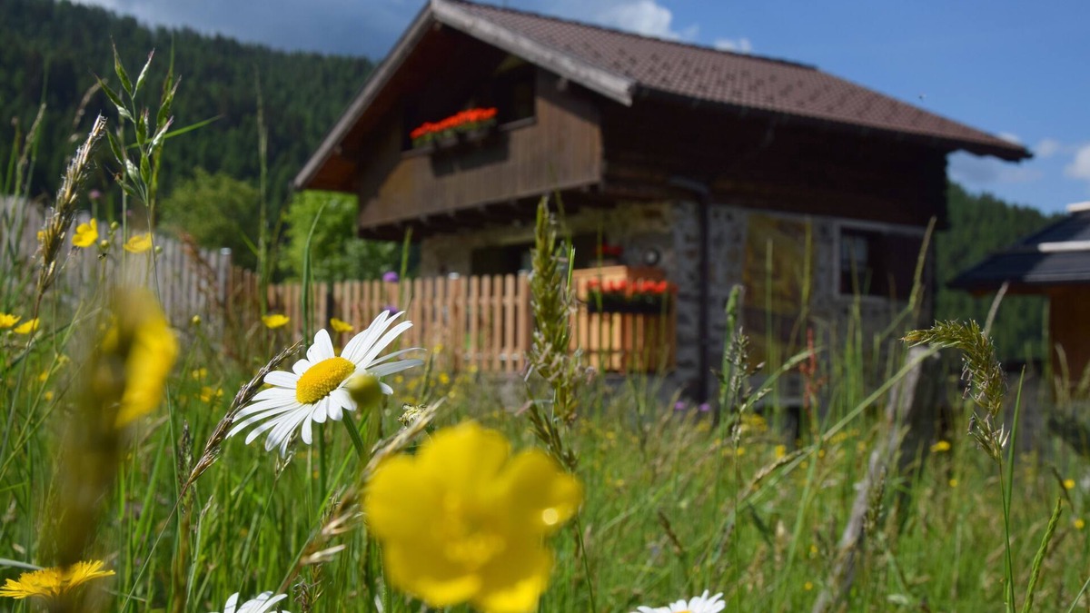 Fierozzo Cabin | mountain house & pet friendly