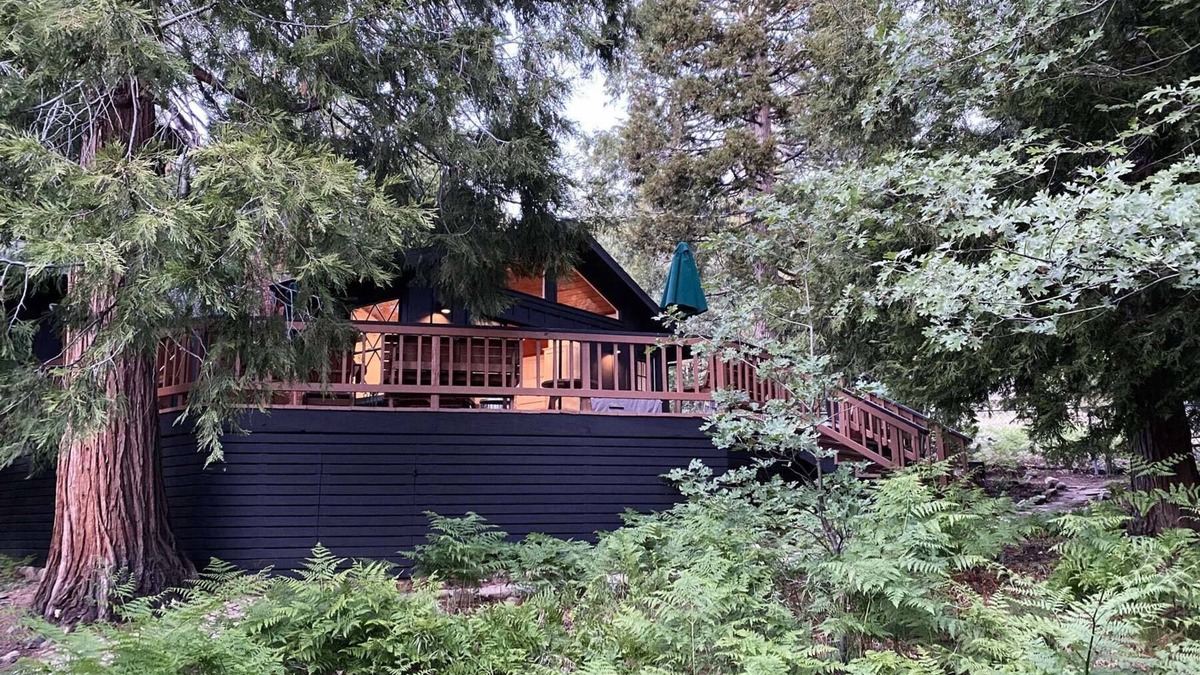 Fern Valley Cabin | Mountain mod cabin w/EV charging - Fernwood