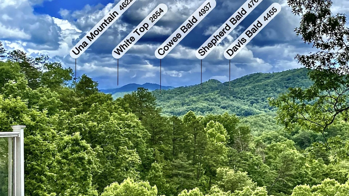 Almond Cabin | Mountain Oasis Luxurious w/5 Star Amenities!