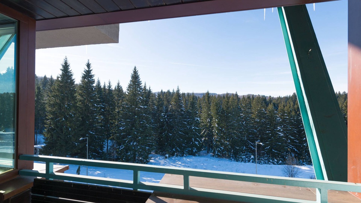 Poiana Brasov Apartment | Mountain retreat in the Carpathians
