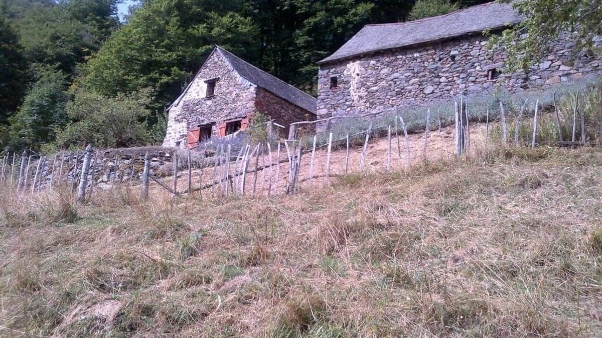 Borce House | MOUNTAIN SHEEPFOLD