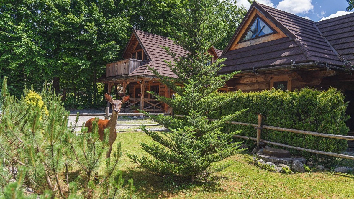Zakopane Cabin | Mountain Shelter Zakopane