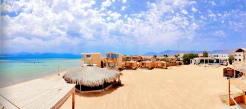 Wasit Other | Mountain Sinai camp