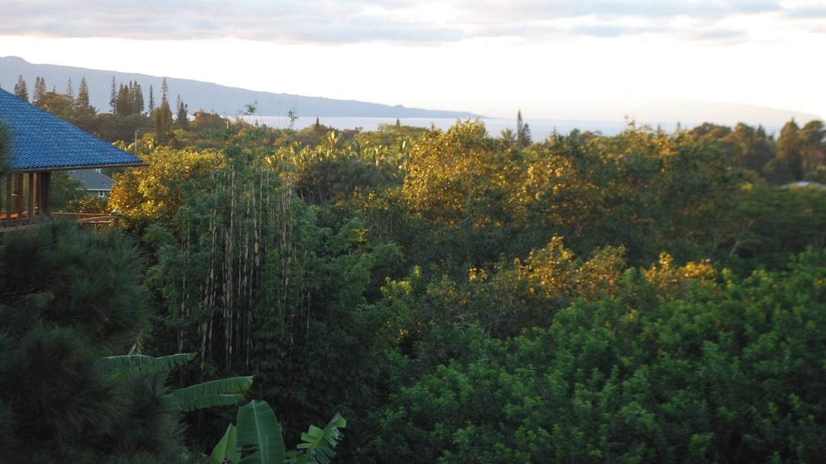 Pauwela House | Mountain to Ocean Views Pole House @ Maui Adventure Villa