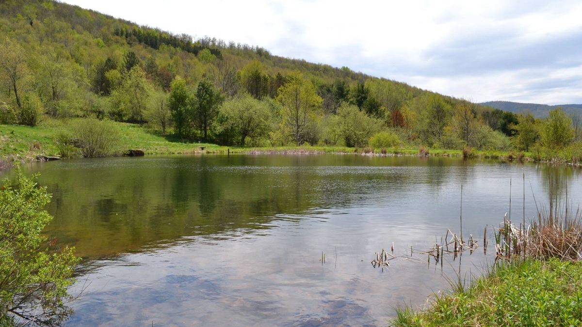 Hobart Cabin | Mountain Top Retreat, 116 private acres