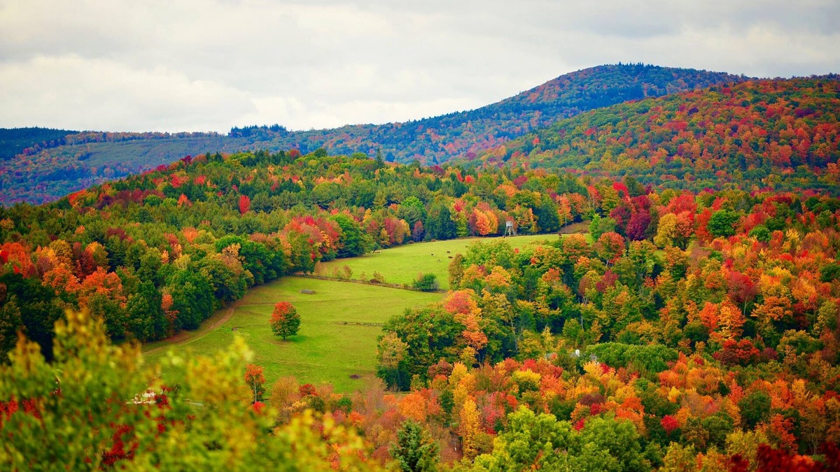 Maplecrest Bed & Breakfast | Mountain Treasure B&B