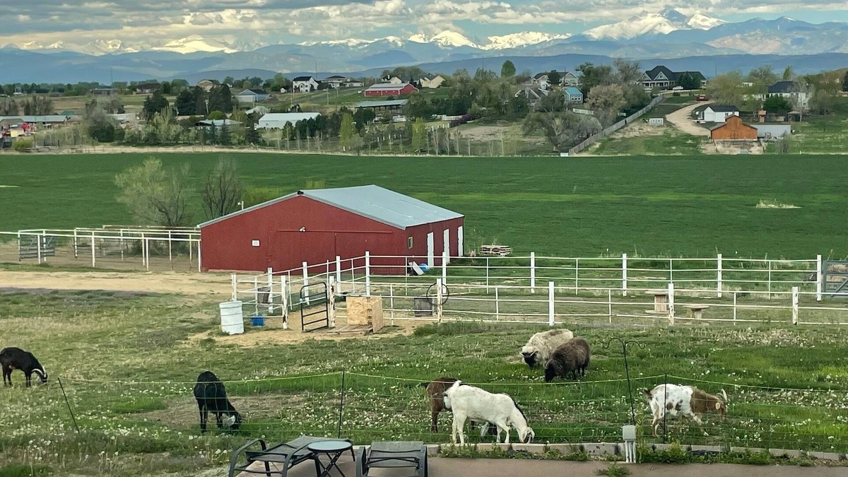 Berthoud House | Mountain View Acres Guest Suite
