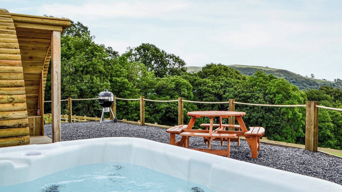 Llandovery Cottage | Mountain View - UK34179
