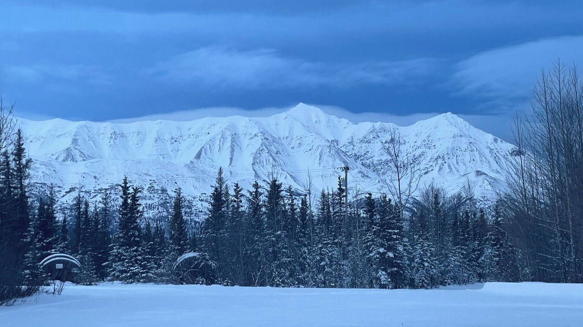 Cantwell Cabin | Mountain Views at Red Fox Cabin