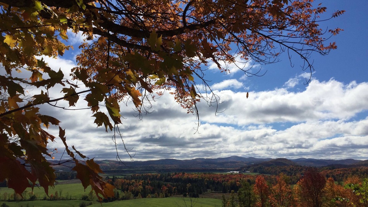 Irasburg Apartment | Mountain views - peaceful small ranch on 5 acres