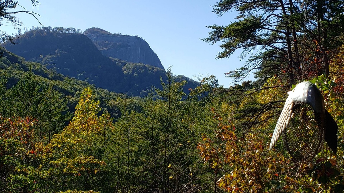 Cleveland Cabin | Mountains-Lakes-Parks-Winery-Privacy-SerenitynPick me for your Labor Day stay!