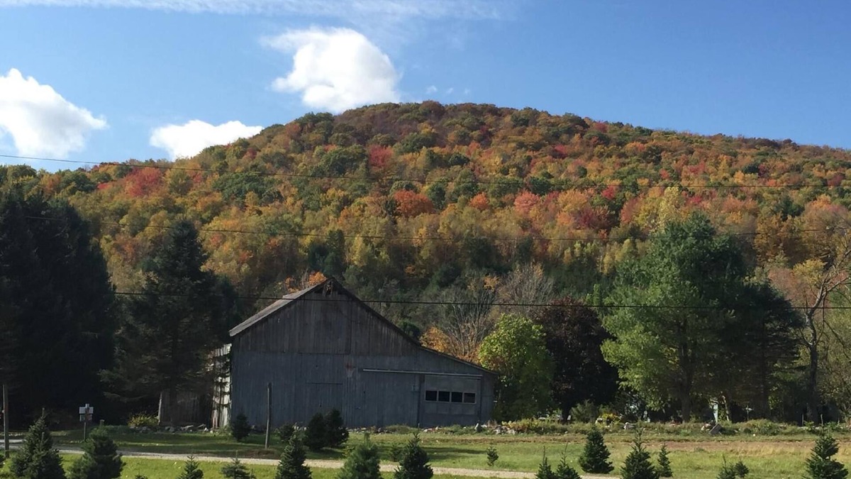 North Bennington Cabin | Mountains, pond, old barn, hiking trails- quintessential Vermont