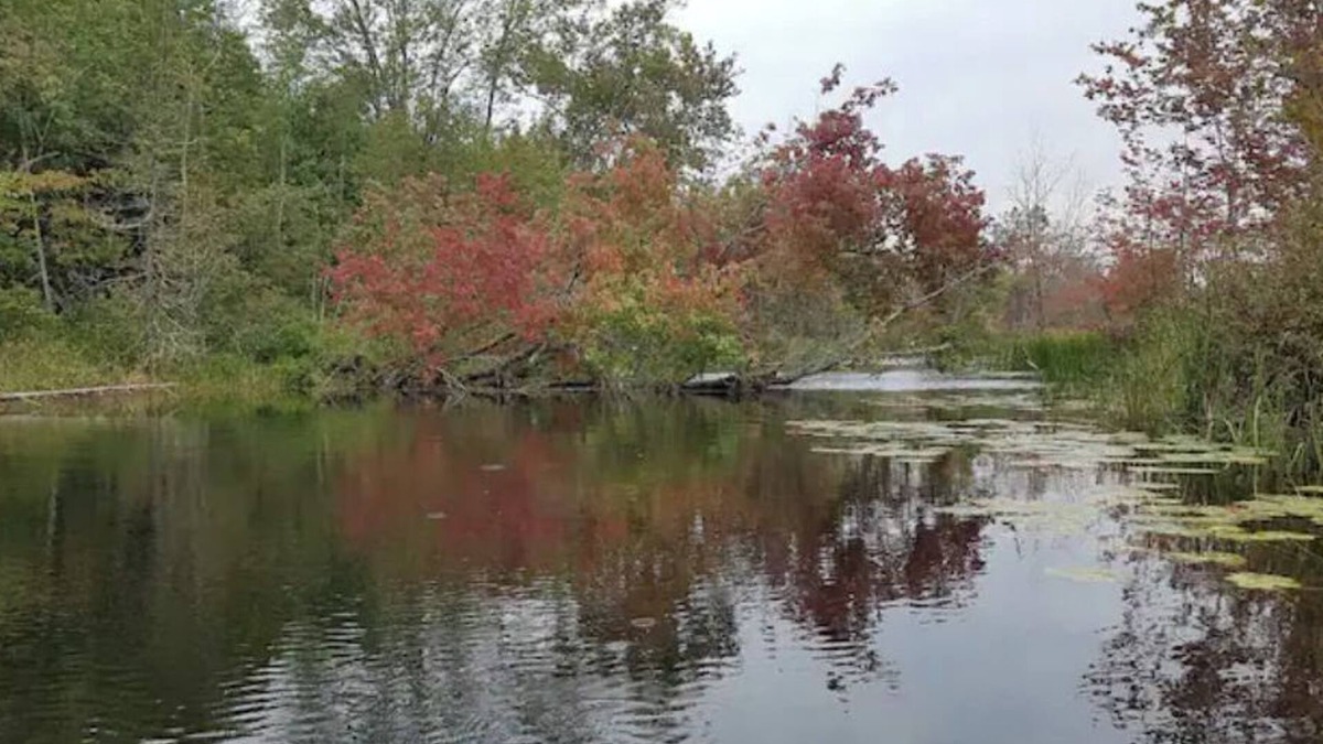 Tyendinaga House | Mozie Park - Your fun romantic destination