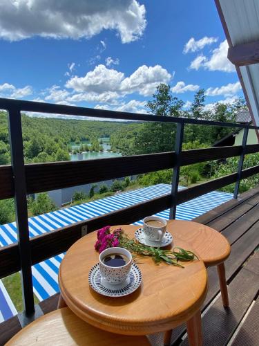 Generalski Stol Apartment | Mrežnica - Zelena oaza I