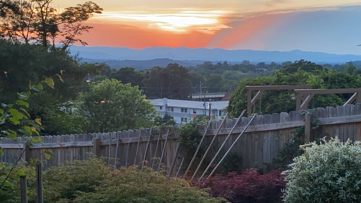 East End - Valley Street House | MTN VIEWS/1 Min to Downtown Asheville/Peaceful
