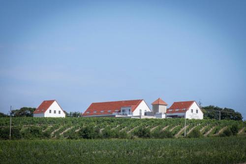 Sedlec Apartment | Mušlovské Vinohrady