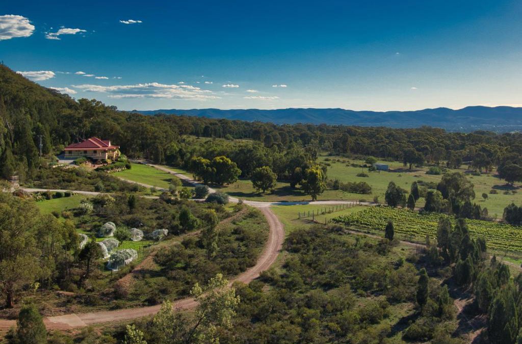 Buckaroo House | Mudgee Homestead Guesthouse
