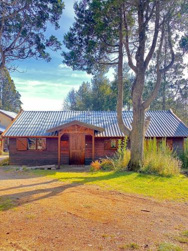 Peninsula San Pedro House | MUID - Cabaña en Peninsula de San Pedro