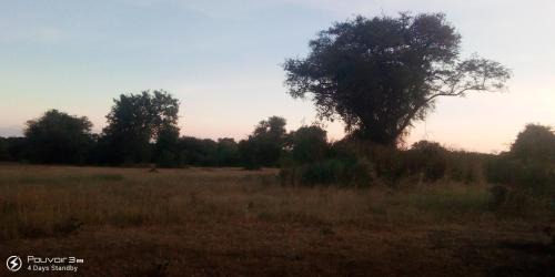 Livingstone Other | Muke Village Camping