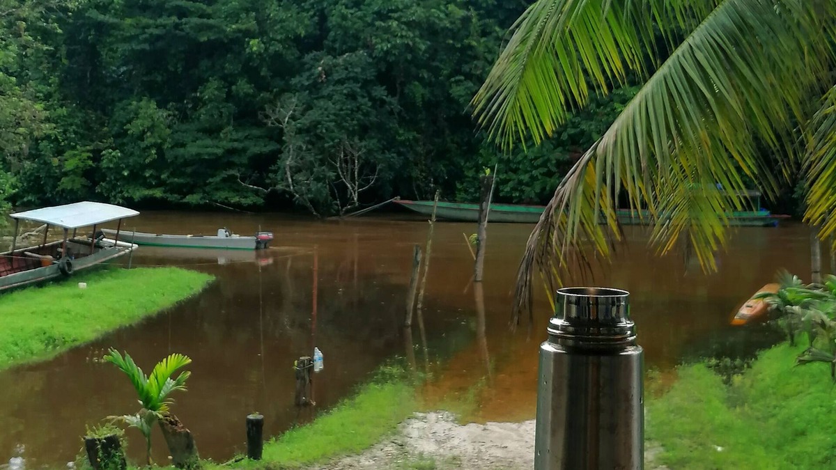 Mulu House | Mulu Diana Homestay