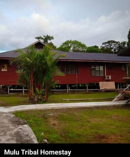 Mulu House | Mulu Tribal Homestay