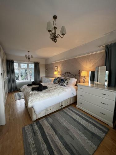 Mumbles House | Mumbles Seaside sleeps up 11 Pets allowed
