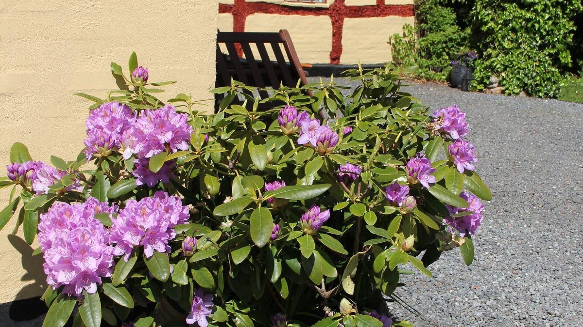 Borkop Bed & Breakfast | Munkebjerg Bed & Breakfast