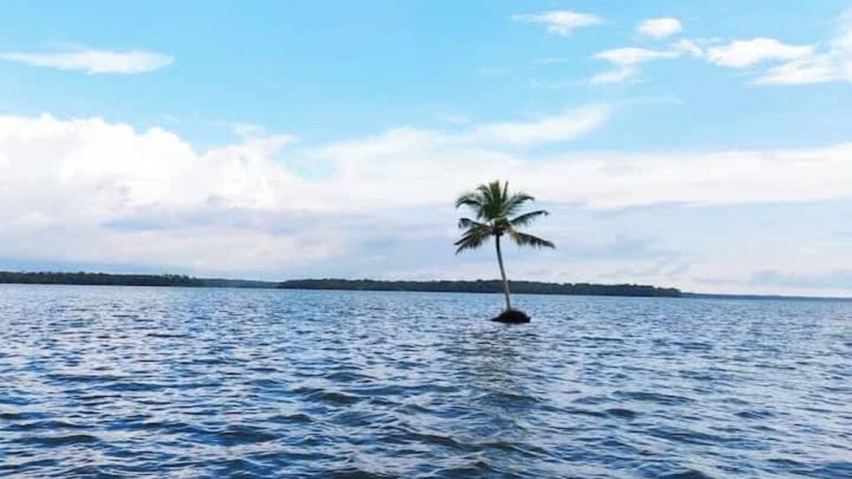 Munroe Island Bed & Breakfast | Munroe Inn Homestay.