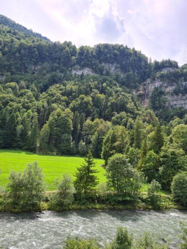 Saint Georgen Ot Brigach Apartment | Muota River Loft & Muota Industry Apartment near Stoos