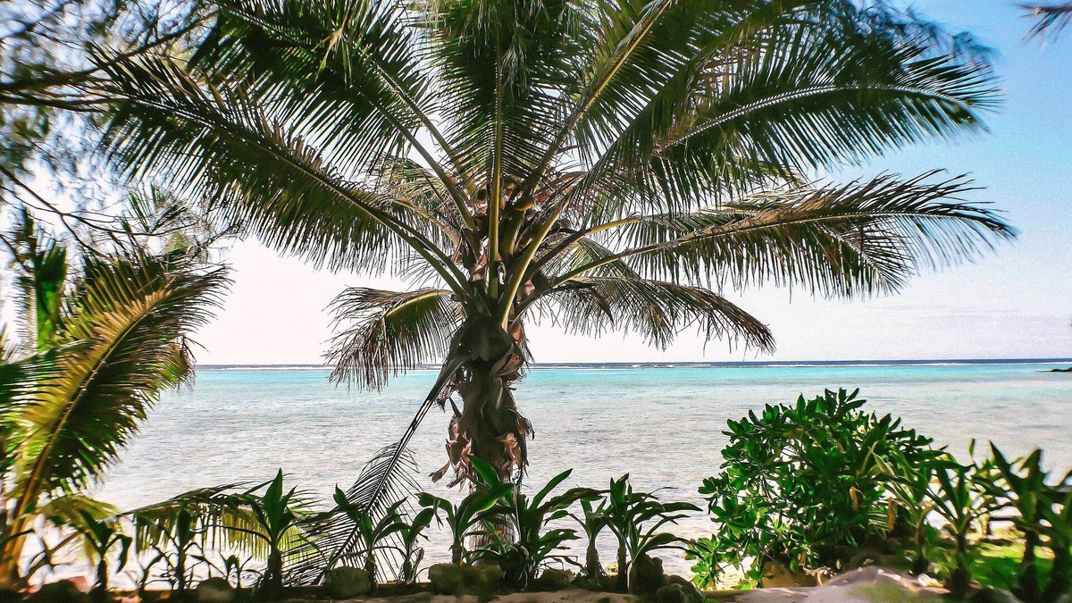Muri Resort | Muri Beach Resort