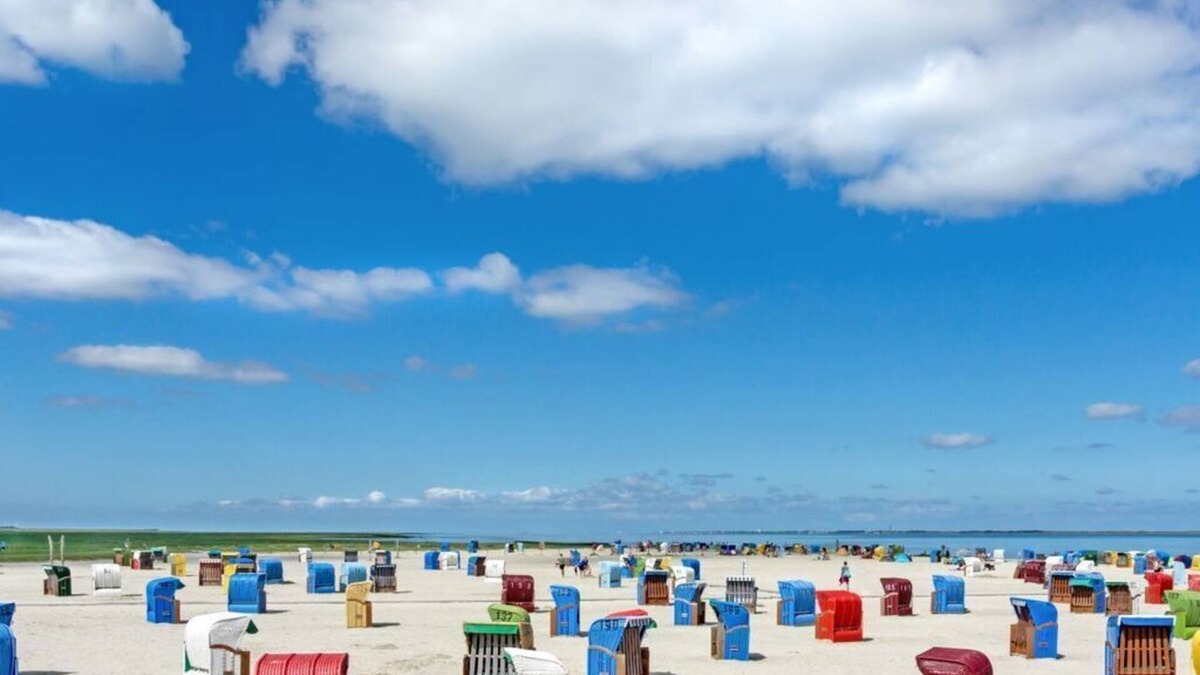 Norden Boat Rental | Muschel Comfortable holiday residence