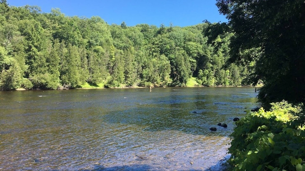 Newaygo Cottage | Muskegon River Front Cabin