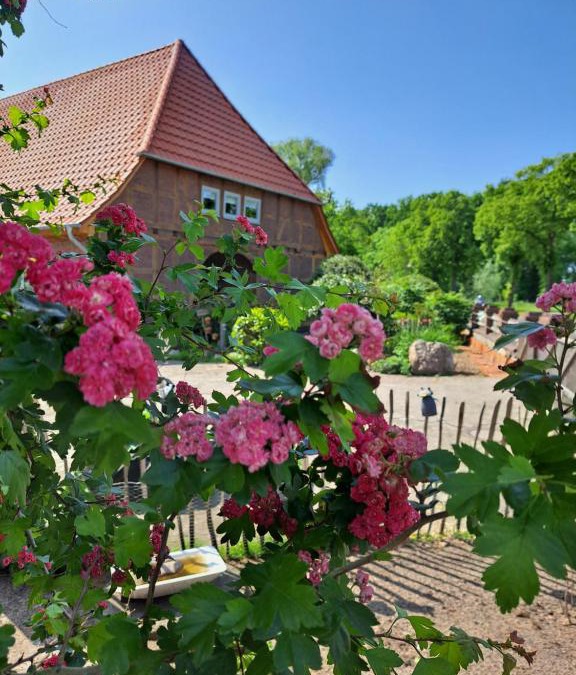 Ummern Apartment | Mutti 's Landhof