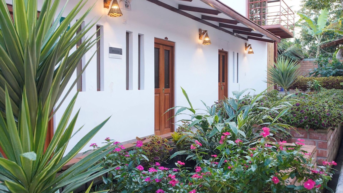 Moyobamba Bed & Breakfast | Muyuterra