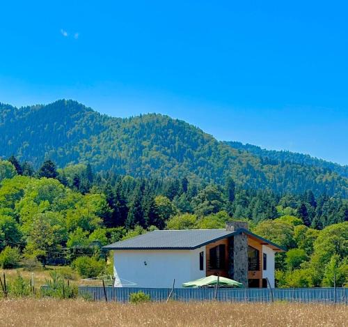 Likani Cabin | MV Cottages