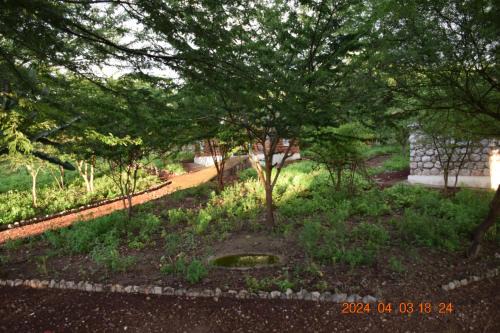 Mto wa Mbu Bed & Breakfast | Mwi Village House