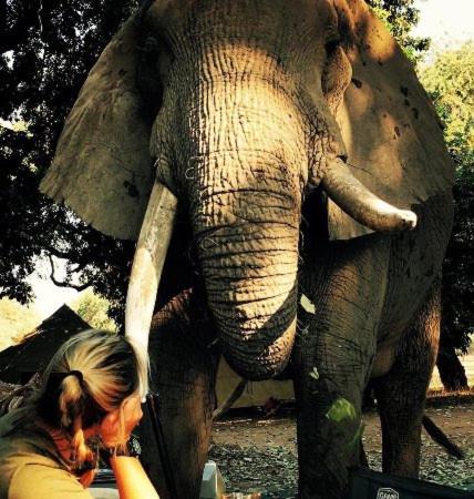 Centenary Other | Mwinilunga Safaris
