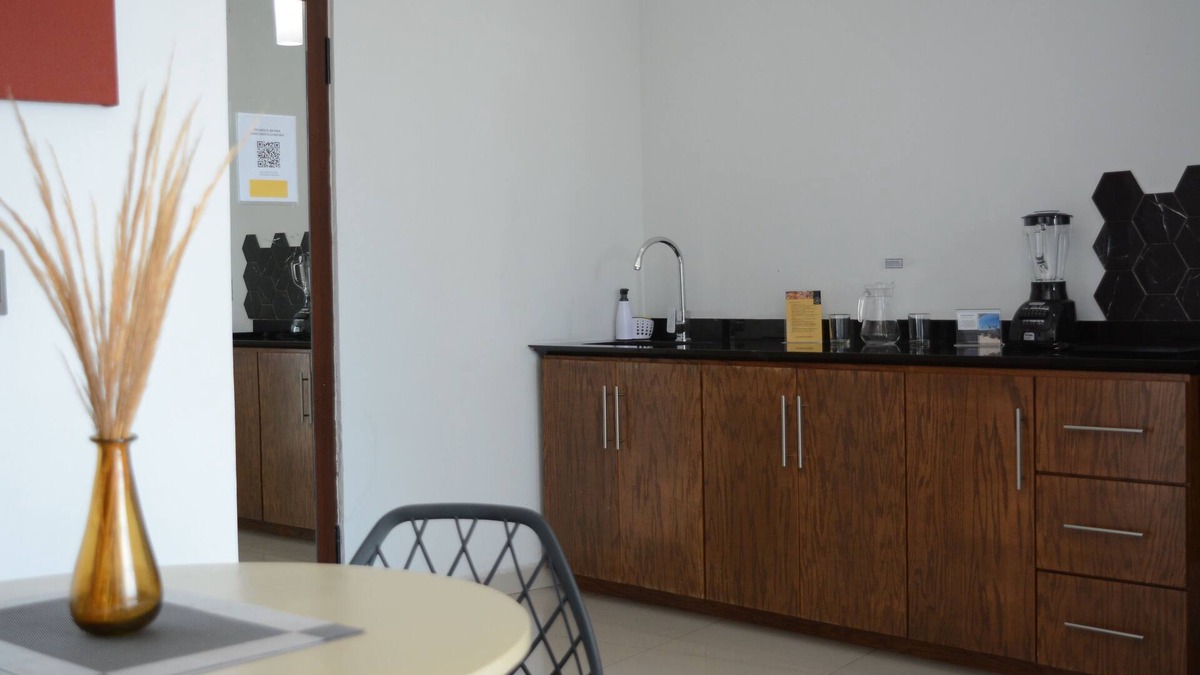 Tepatitlan de Morelos Apartment | INDEPENDENT SUITE TERRACE 5