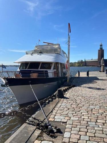 Gamla Stan Boat Rental | MY Etera