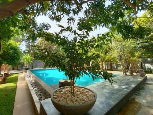 Mahasenpura Bed & Breakfast | My Village