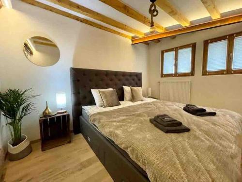 Irrel Apartment | Mya Lenas Suite